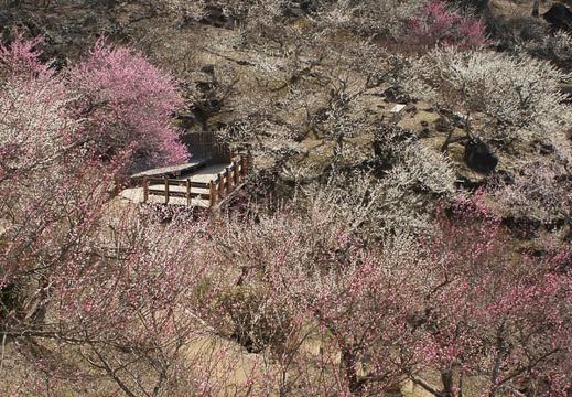 201204020913-DSC03078.jpg