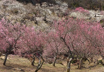 201204020915-DSC03084.jpg