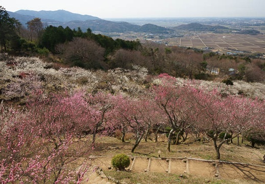 201204020923-DSC03108.jpg