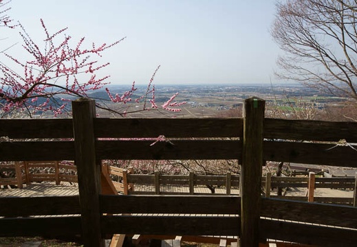 201204020924-DSC03111.jpg