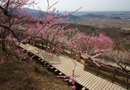 201204020927-DSC03120.jpg