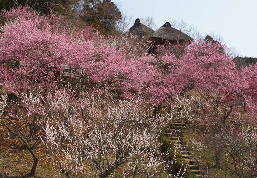 201204020940-DSC03142.jpg