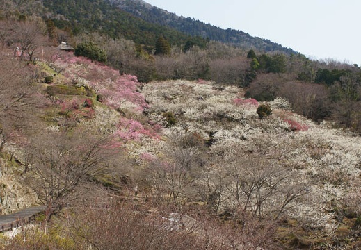 201204021005-DSC03179.jpg