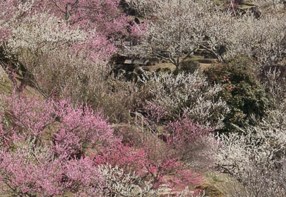 201204021012-DSC03202.jpg