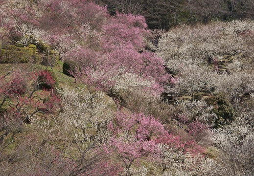 201204021012-DSC03204.jpg