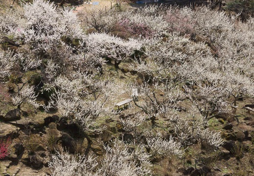 201204021014-DSC03208.jpg