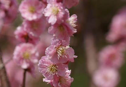 201204021133-DSC03317.jpg