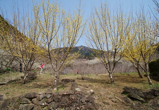 201204021144-DSC05567N.jpg