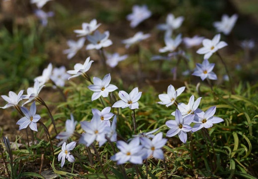 201204021206-DSC03374.jpg