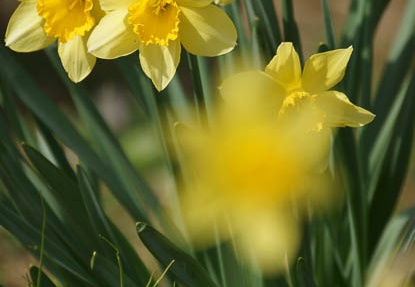 201204021324-DSC03410.jpg