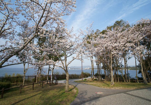 201204050724-DSC05702N.jpg