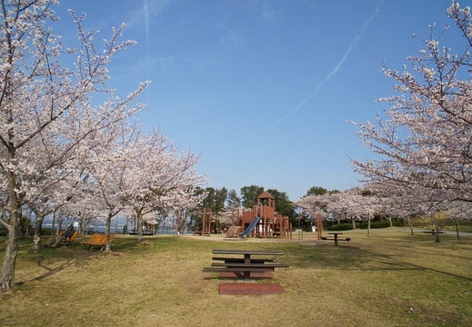 201204050735-DSC05720N.jpg