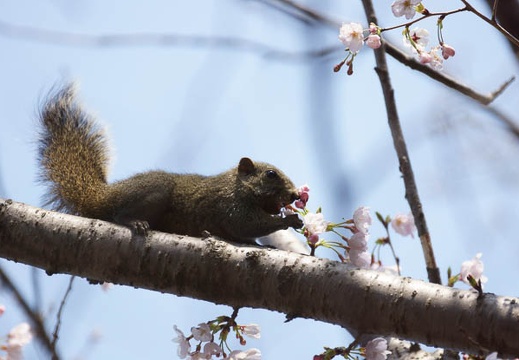 201204050931-DSC03779.jpg