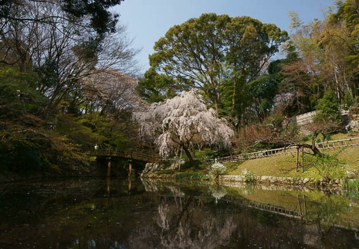 201204050950-DSC03817.jpg
