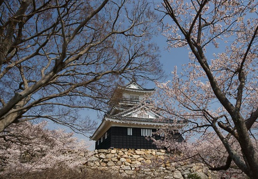 201204051026-DSC03871.jpg