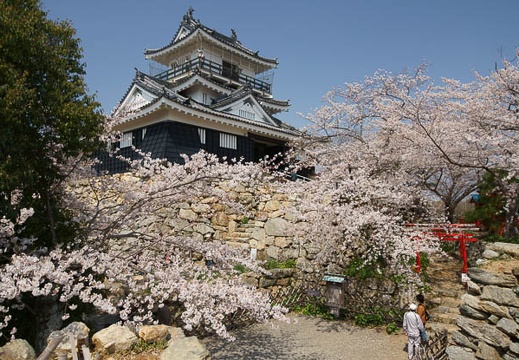 04.05 浜松城公園