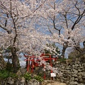 201204051046-DSC03901.jpg