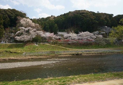 201204051218-DSC03996.jpg