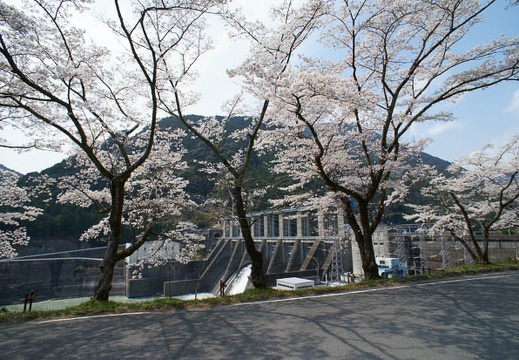 201204051316-DSC05798N.jpg