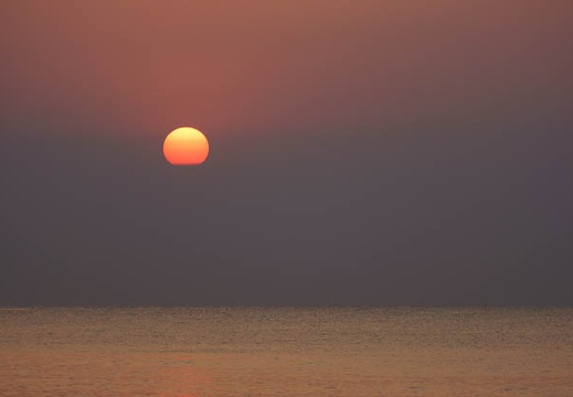 201204060538-DSC04291.jpg