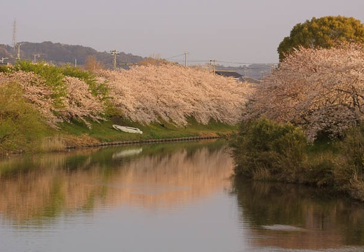 201204060606-DSC04312.jpg