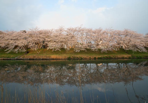 201204060618-DSC05891N.jpg
