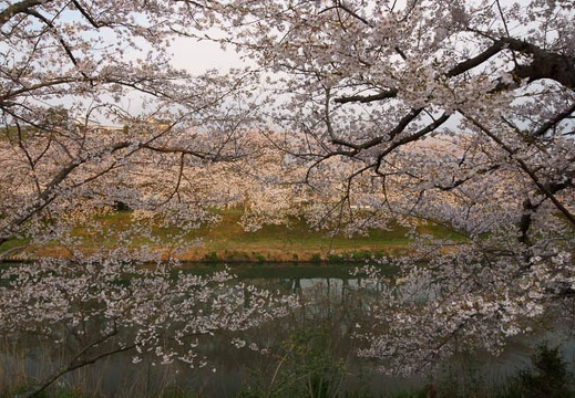 201204060620-DSC04328.jpg