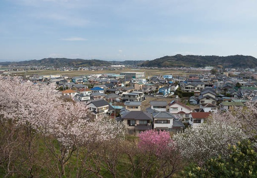 201204060751-DSC04422.jpg