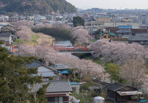 201204060757-DSC04435.jpg