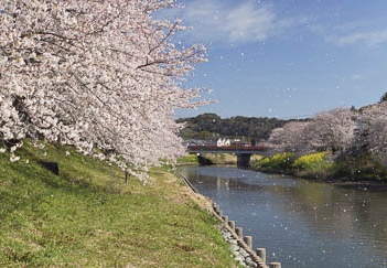 201204060903-DSC04523.jpg