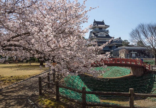 201204061002-DSC04562.jpg