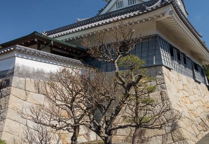 201204061016-DSC04589.jpg