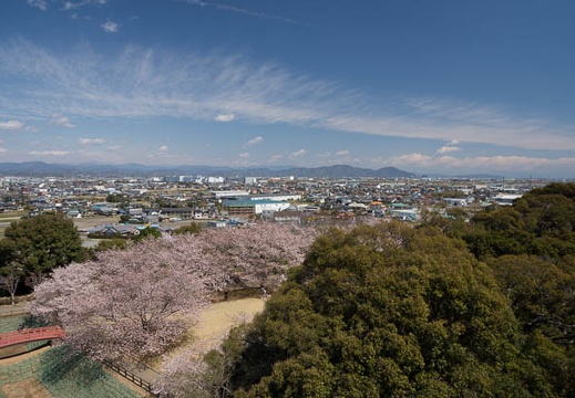 201204061024-DSC04603.jpg