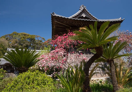 201204061039-DSC04628.jpg