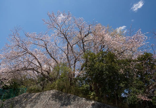 201204071207-DSC00005.jpg