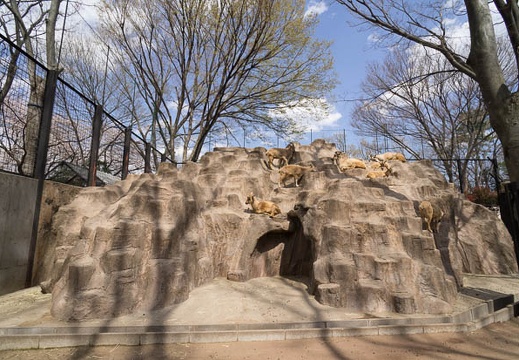 201204071223-DSC06095N.jpg