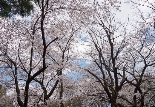 201204071228-DSC00025.jpg