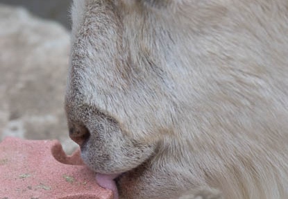 201204071234-DSC00041.jpg