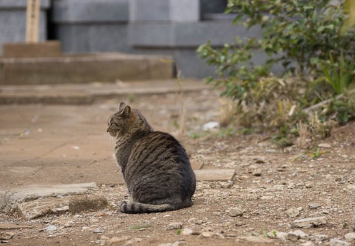 201204071304-DSC00067.jpg