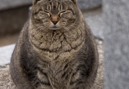 201204071308-DSC00072.jpg