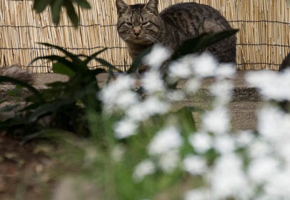 201204071318-DSC00080.jpg