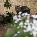 201204071318-DSC00080.jpg