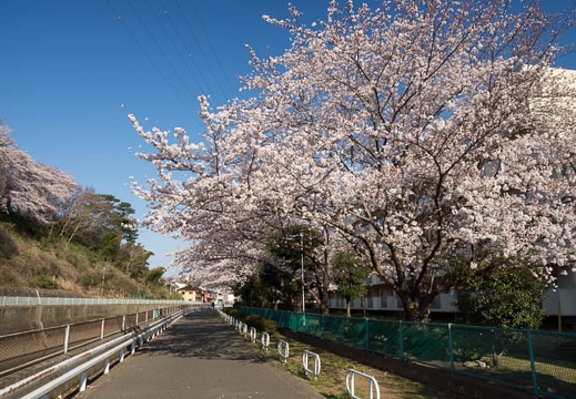 201204080732-DSC00131.jpg