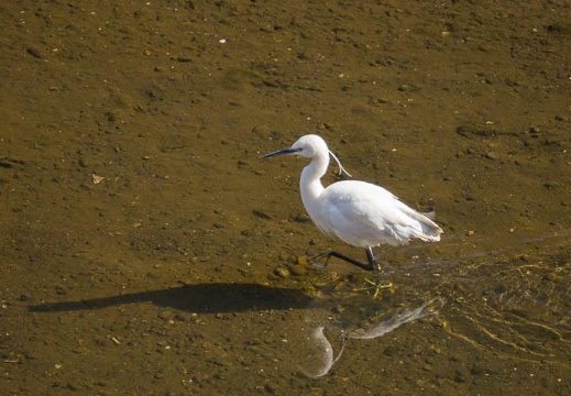 201204080754-DSC00167.jpg