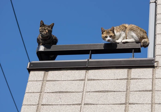 201204080824-DSC00203.jpg