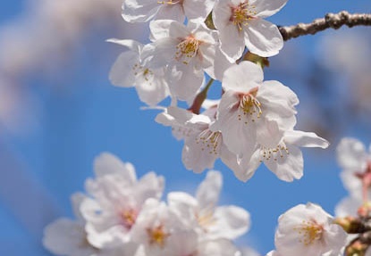 201204080839-DSC00241.jpg