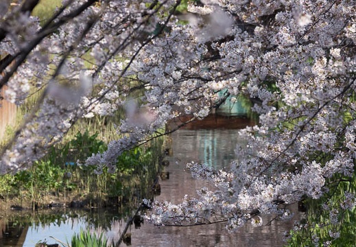 201204080920-DSC00293.jpg