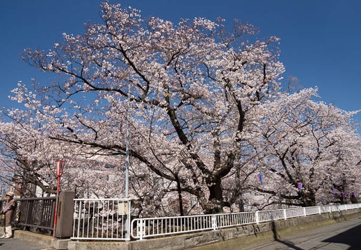 201204080956-DSC00363.jpg