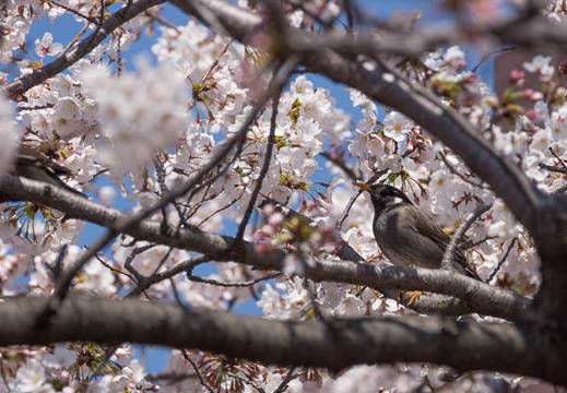 201204081226-DSC00553.jpg