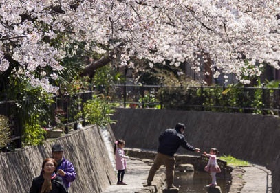201204081227-DSC00556.jpg